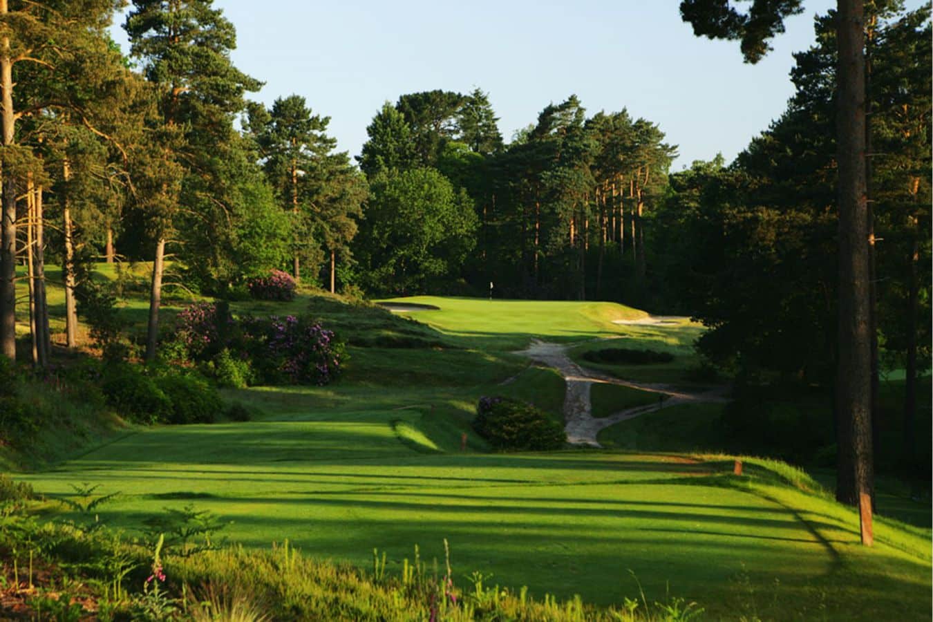 Best Courses to Play Golf in Surrey Mulligan Golf
