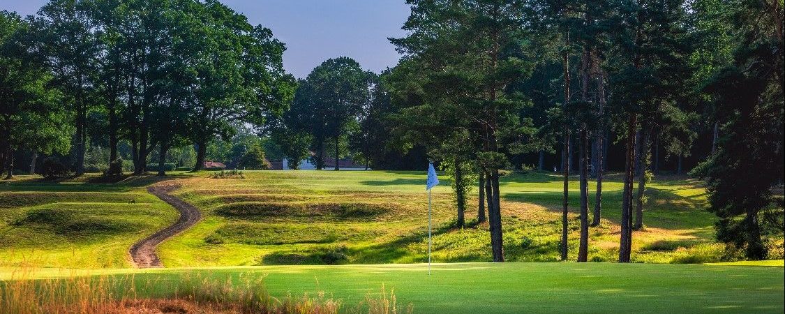 Golf Courses in Surrey