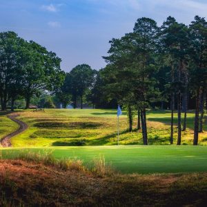 Golf Courses in Surrey