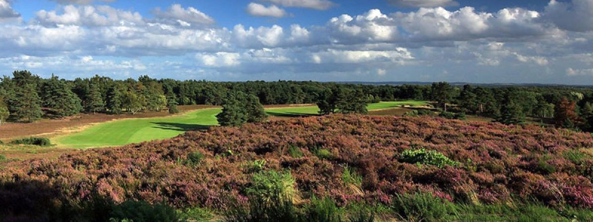 Golf Courses in Surrey